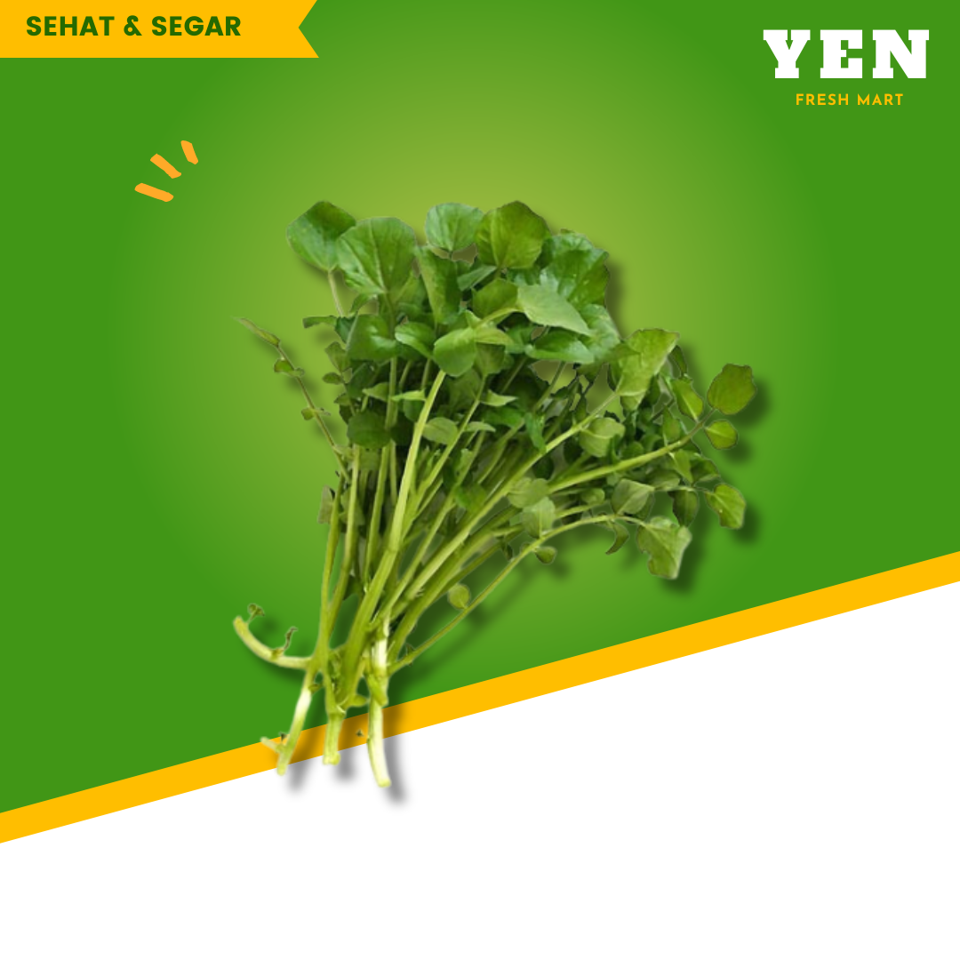 Salada Air/Water grass