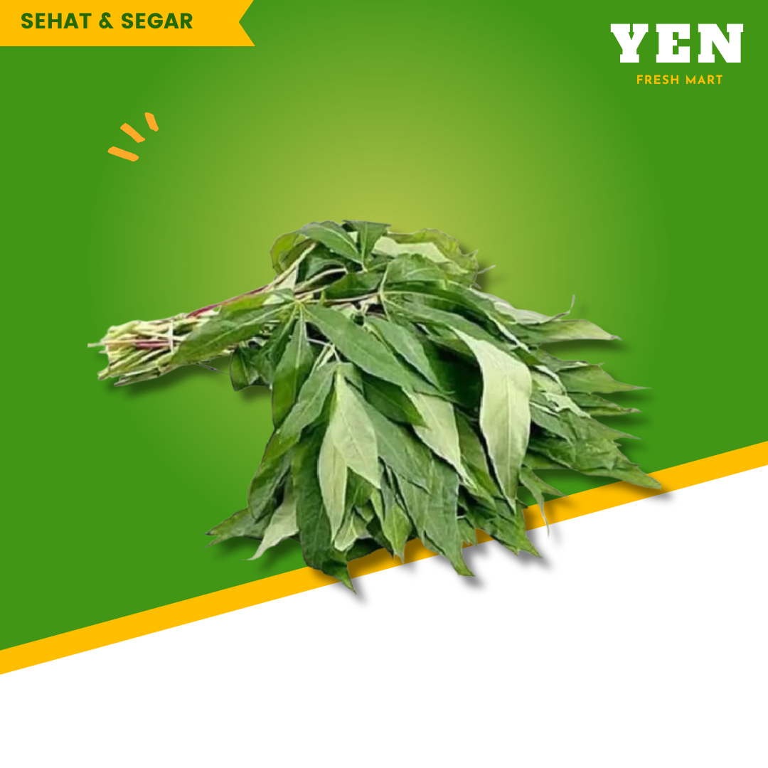 SAYUR DAUN SINGKONG