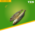 ikan asin peda